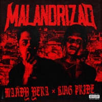 Malandrizao - Single - Mandy Yera & King Pride
