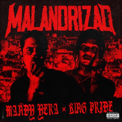 Malandrizao - Single