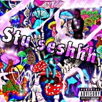 stu seshhh - Motion Mk & AD Aktive