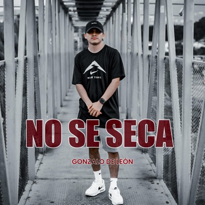 No Se Seca - Single