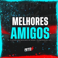 Melhores Amigos - Single - Dj Matheus da Sul, Mc Neguinho do Morro & MC PL ALVES
