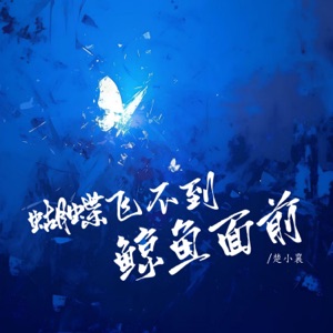 蝴蝶飞不到鲸鱼面前 - Single