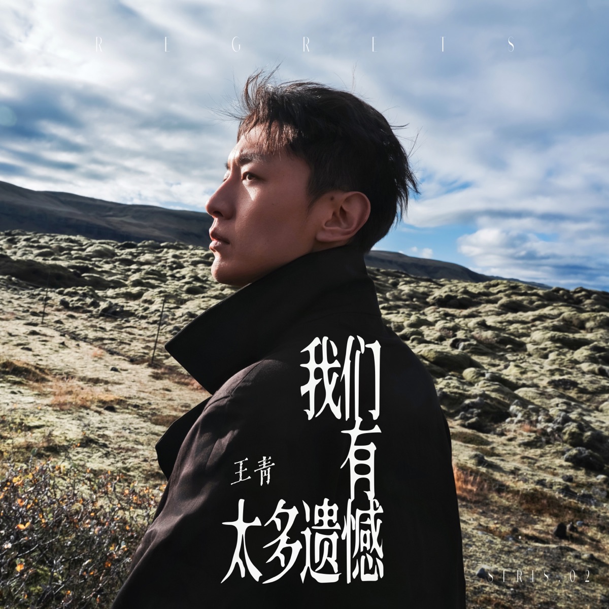 王青 - 我们有太多遗憾 - Single (2026) [iTunes Plus AAC M4A]-新房子