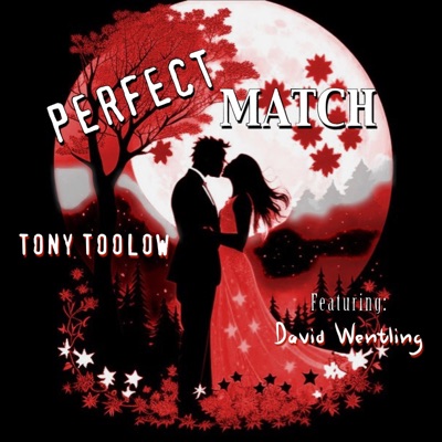 Perfect Match (feat. David Wentling) [Reimagined] - Single