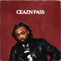 CEAZN PASS - Openceazn