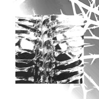 Assault - Single - LONOWN & riserayss