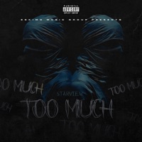 Too Much - Single - Starview