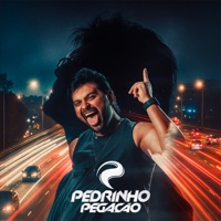 Sexta Feira (Ao Vivo) - Single - Pedrinho Pegação