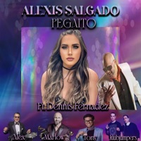 Pegaito (feat. Dennis Fernandez, Marlow Rosado, Tony Succar, Klubjumpers & Alex Acuna) - Single - Alexis Salgado