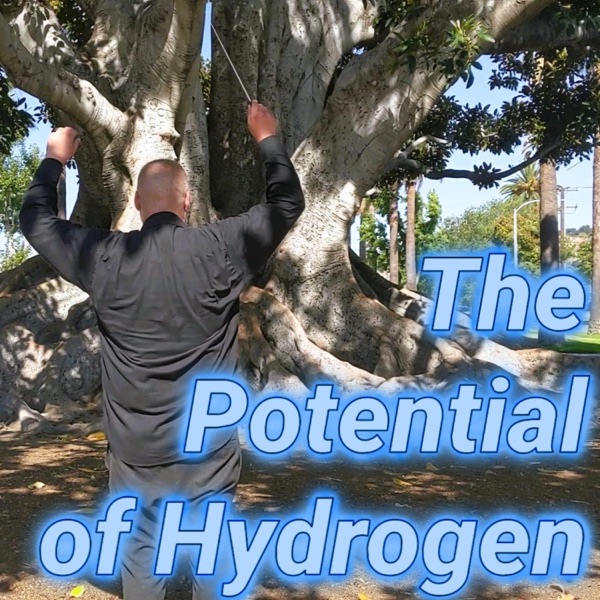 The Potential of Hydrogen