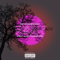 Tricky (Remix) - Single - Bryson Buddah
