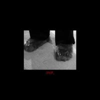 SENSR - Single - GALIFE