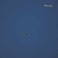This Way - Single - Kotik
