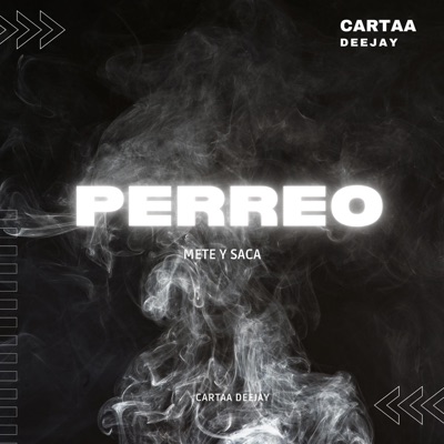 Perreo Mete y Saca (feat. deejay bruno) - Single