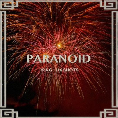 Paranoid - Single