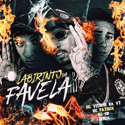Labirinto da Favela (feat. Renba) - Single