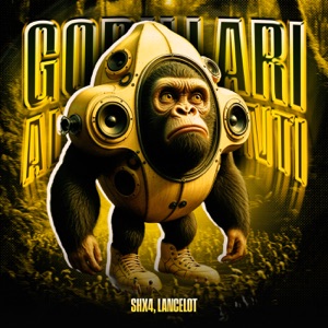 GORILLARI ALTOPARLANTI FUNK - EP