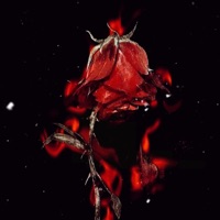 Wish You Cared (feat. iamjoshh) - Single - fractured