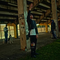 NON VOGLIO MOLLY (FREESTYLE) - Single - Gaby_