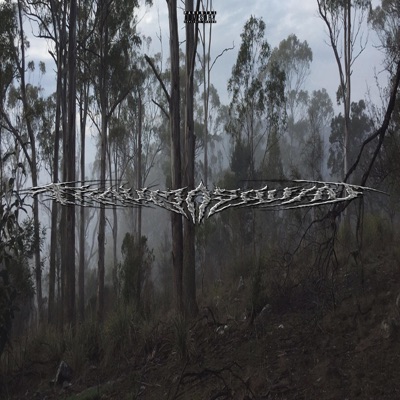 I LOVE THE RAIN BECAUSE I GET TO STAY INSIDE - Single