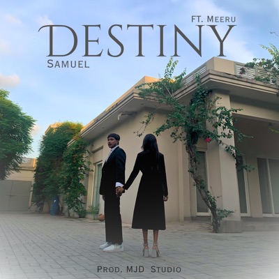 Destiny (feat. Meera) - Single