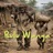 BULU WANGA