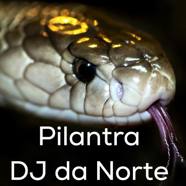 pilantra