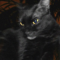 Te Quiero Querer - Single - Laranda