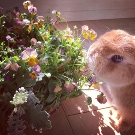 so are you (feat. CapzLock) CapzLock Archive