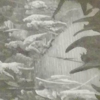 Pardon Me - Single - CHRISTOPHERHECTOR