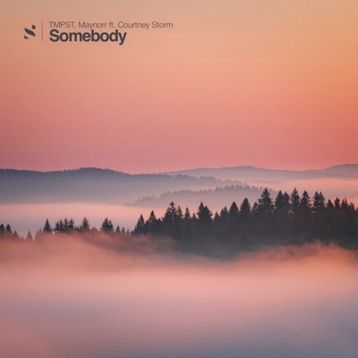 Somebody (feat. Courtney Storm) - Single