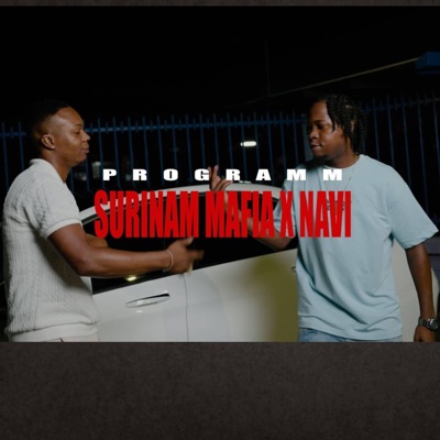 Programm (feat. Navi) - Single