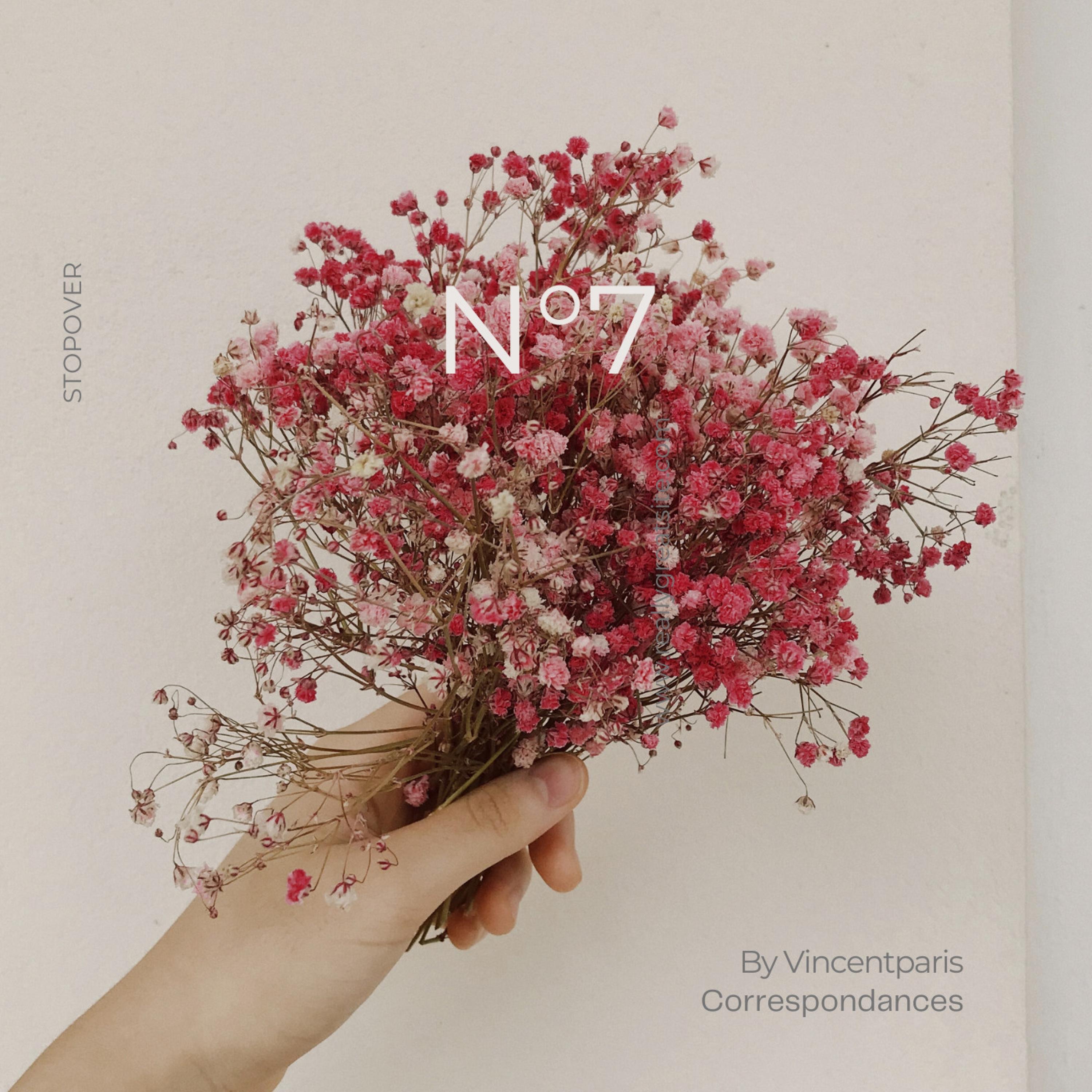 n°7 - Single
