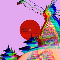 Electronic Aawaaz - EP - Evilive