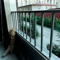 Игнор - Single - Fraank