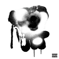 Hoodie Officiel Freestyle (feat. Raccoon) - Single - DJ White Socks