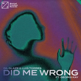 Did Me Wrong (feat. Georgi Kay) [Extended Mix] Gil Glaze & Luis Torres