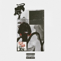 Iron Of Death (feat. $aveme) - Single - Le Zeppo