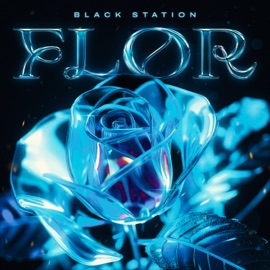 Flor Black Station
