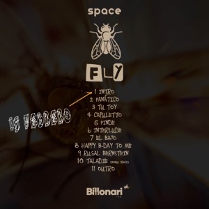 Intro Fly Disc