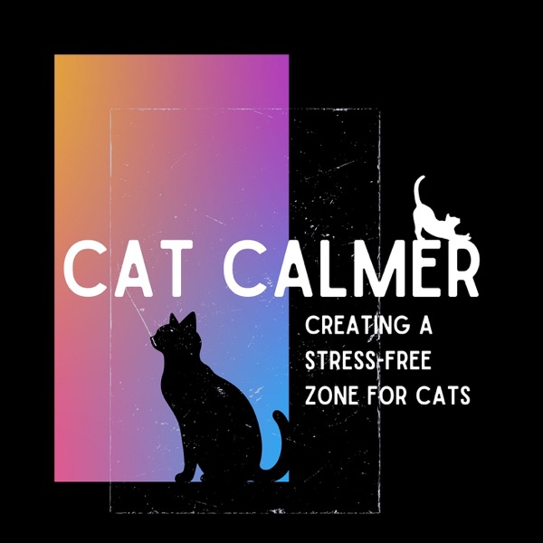 Creating a Stress-Free Zone for Cats