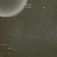 Brain - Single - Amara t