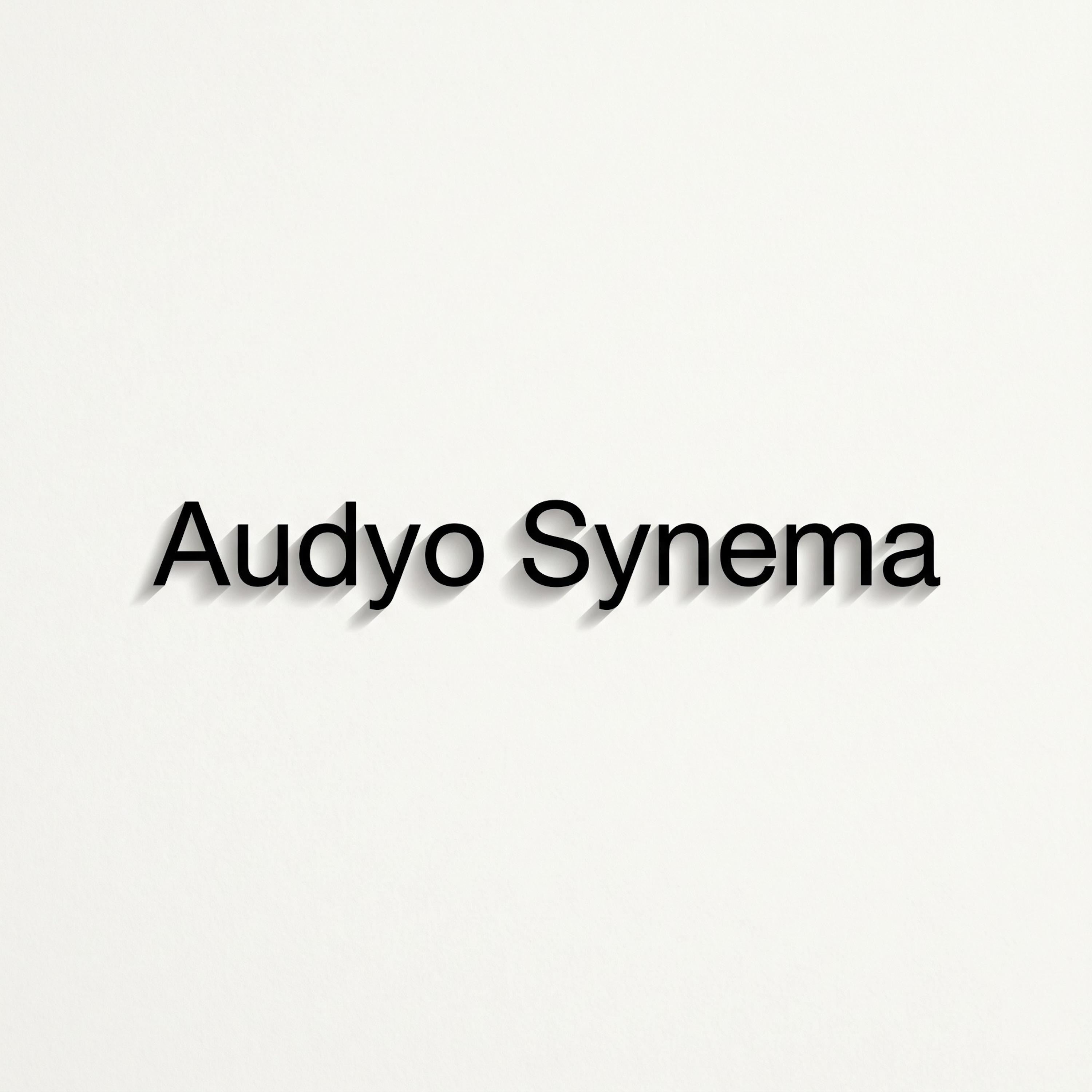 Audyo Synema by Dre' from Jerz album cover