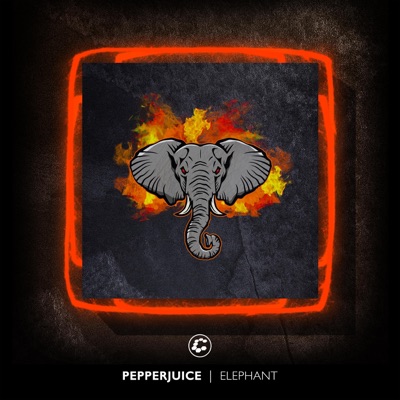 Elephant - Single