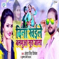 Bina Khaile Balamua Sut Jala (feat. Antra Singh Priyanka) - Single - Krishna Premi Pradhan