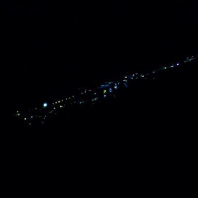 Purgatorial Audio - Single