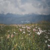 my refuge (Instrumental) - Single