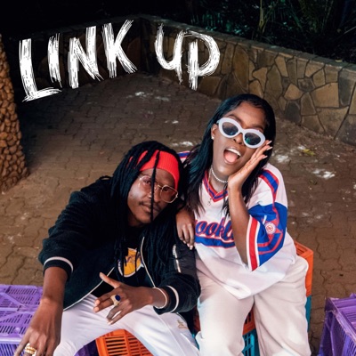 Link Up (feat. Mordecai Dex, Mzee Togzik & MadTraxx) - Single