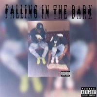 Falling in the dark (feat. Ty Heeemm) - Single - BDB Threezy