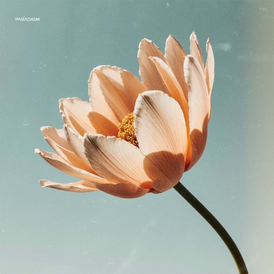 Feel U - Single